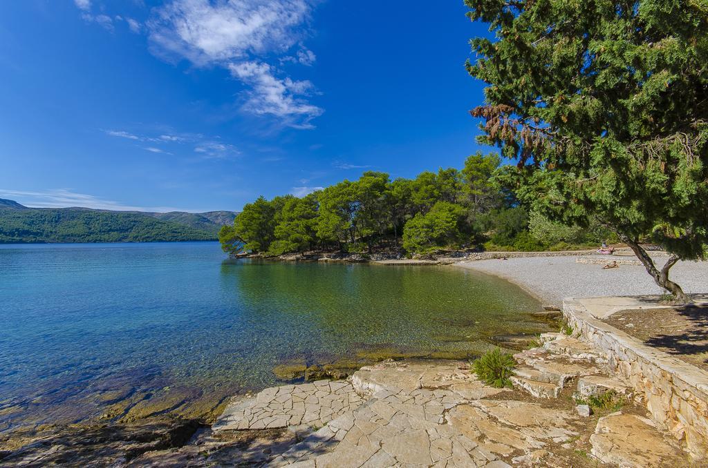 House Oliva With Private Pool And Large Garden Villa Stari Grad  Exterior photo